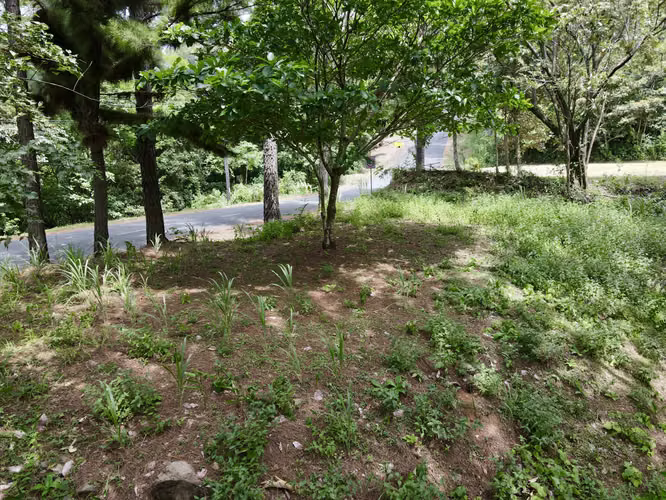 Lote de Montaña Económico en Venta en Altos del María