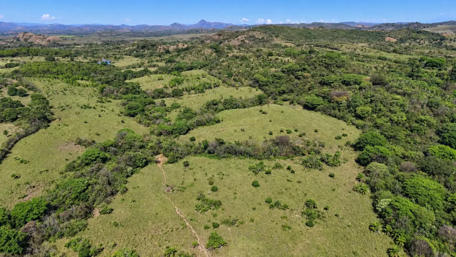 Se vende: 32.1 ha – segregaciones posibles – $7,000/ha negociables – Llano Grande, La Mesa, Veraguas - Imagen 5