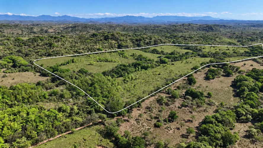 Se vende: 32.1 ha – segregaciones posibles – $7,000/ha negociables – Llano Grande, La Mesa, Veraguas - Imagen 3
