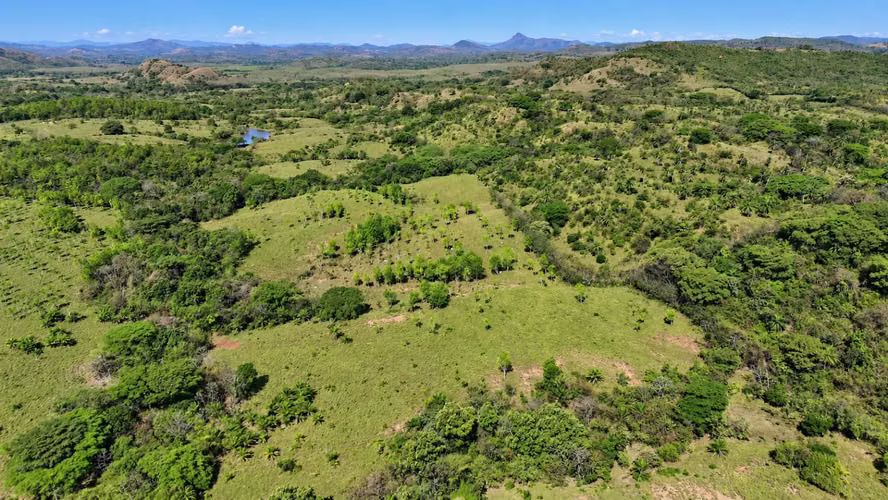 Se vende: 32.1 ha – segregaciones posibles – $7,000/ha negociables – Llano Grande, La Mesa, Veraguas - Imagen 6