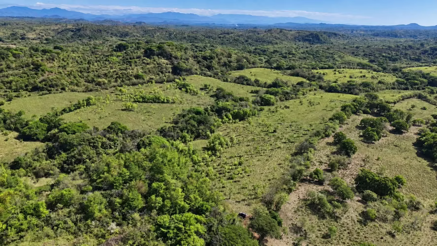 Se vende: 32.1 ha – segregaciones posibles – $7,000/ha negociables – Llano Grande, La Mesa, Veraguas - Imagen 4