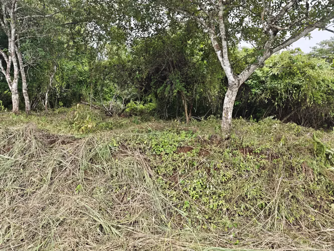 SE VENDE REMATE! OPORTUNIDAD ÚNICA EN HACIENDA COUNTRY CLUB 
