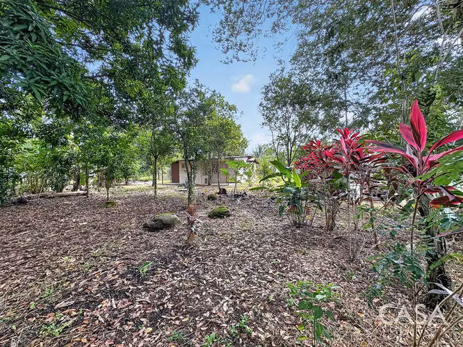 Casa de 2 dormitorios en Lote plano en venta en El Flor, Dolega