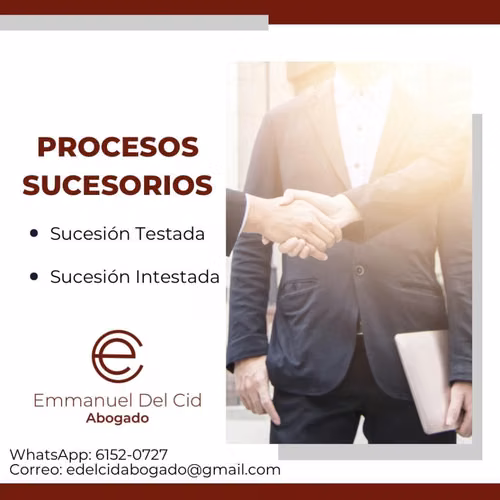 Juicios de sucesión testada o intestada