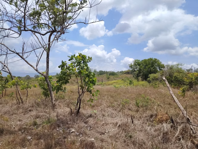 Terreno en Venta – Pacora | 11 Hectáreas (110,000 m²) - Imagen 3