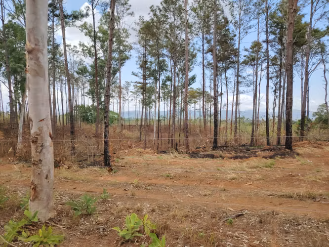 Terreno en Venta – Pacora | 11 Hectáreas (110,000 m²) - Imagen 4