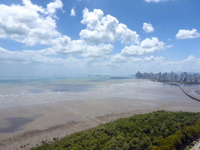 Matisse - Costa del Este
