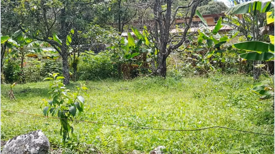 Terreno Titulado en Bajo Boquete, a Pasos del Centro – 887m²