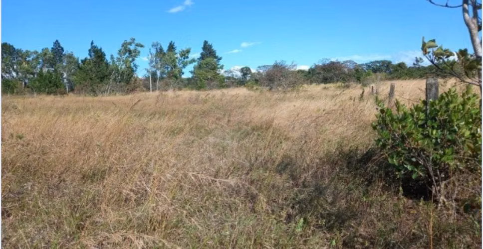 Terreno Plano de Gran Tamaño Camino a Boquete, Uso Comercial o Residencial