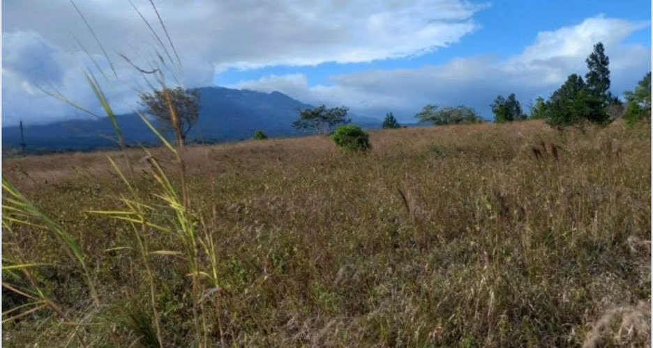 Terreno Plano de Gran Tamaño Camino a Boquete, Uso Comercial o Residencial