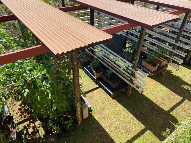 VENDO Terreno en Cerro Azul. 282 Hectareas