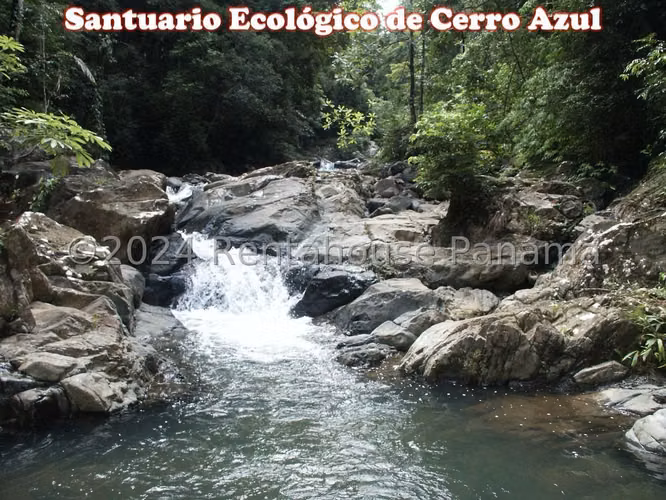 VENDO Terreno en Cerro Azul. 282 Hectareas