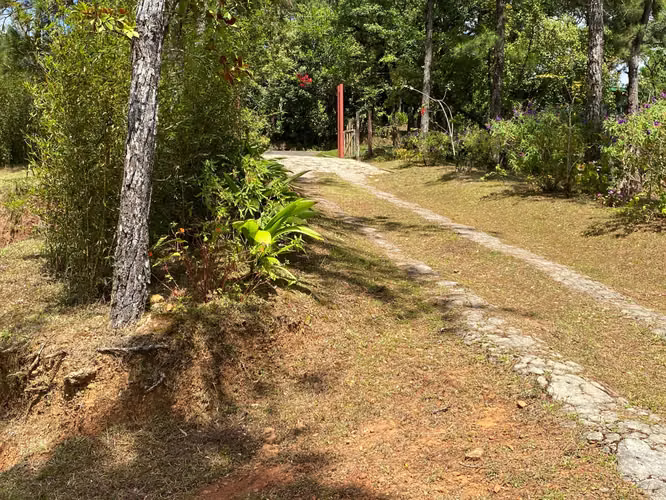VENDO Terreno en Cerro Azul. 282 Hectareas