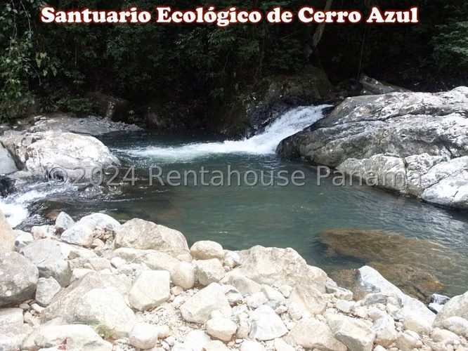 VENDO Terreno en Cerro Azul. 282 Hectareas