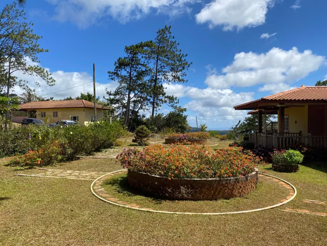 VENDO Terreno en Cerro Azul. 282 Hectareas