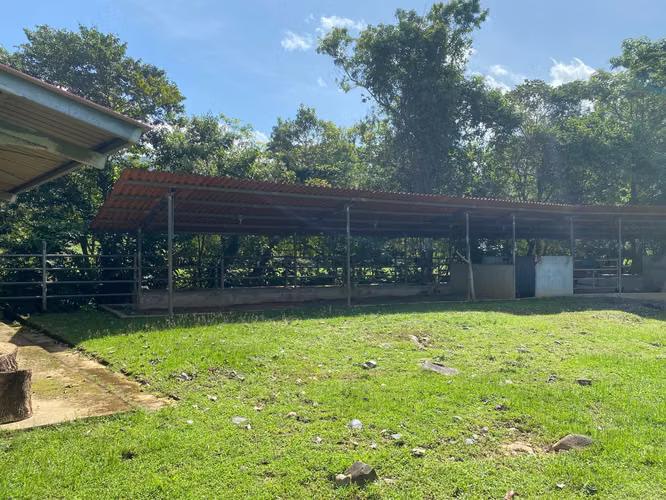 VENDO Terreno en Pacora 512 Hectareas