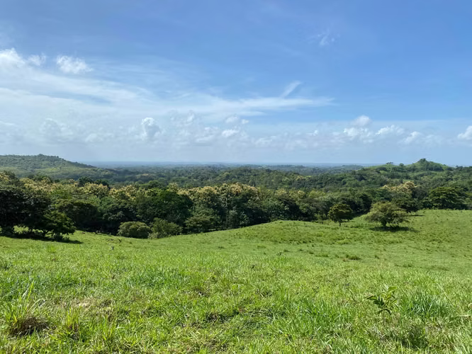 VENDO Terreno en Pacora 512 Hectareas