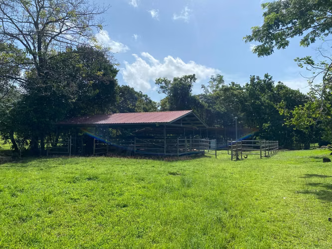 VENDO Terreno en Pacora 512 Hectareas
