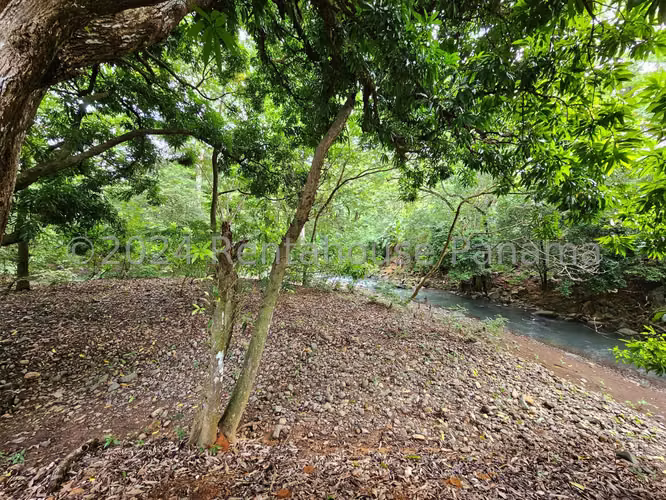 Venta Casa Sora - YD