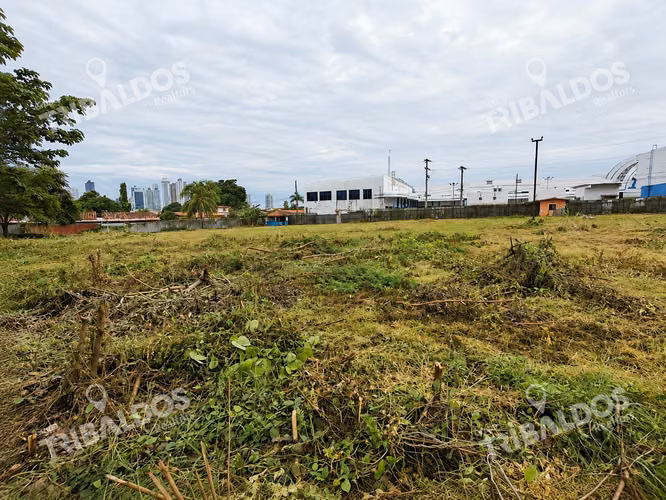 Venta de Terreno Comercial en Ave. Jose Agustin Arango - Imagen 11
