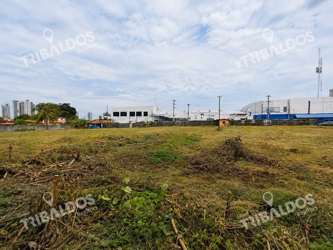 Venta de Terreno Comercial en Ave. Jose Agustin Arango - Imagen 9