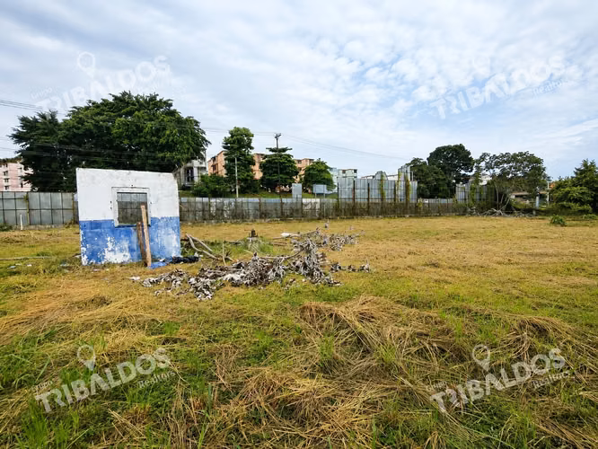 Venta de Terreno Comercial en Ave. Jose Agustin Arango - Imagen 13