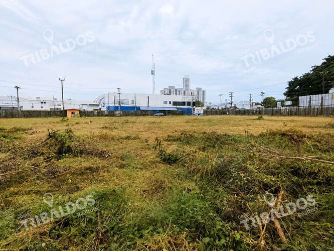Venta de Terreno Comercial en Ave. Jose Agustin Arango - Imagen 16