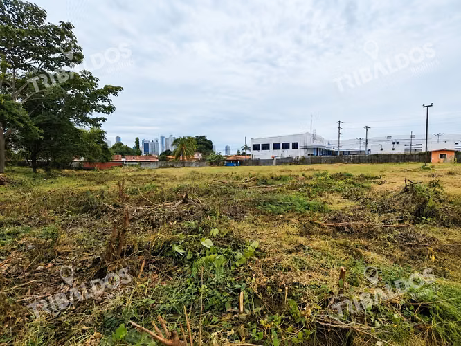 Venta de Terreno Comercial en Ave. Jose Agustin Arango - Imagen 15