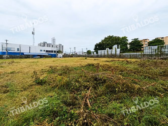 Venta de Terreno Comercial en Ave. Jose Agustin Arango - Imagen 17