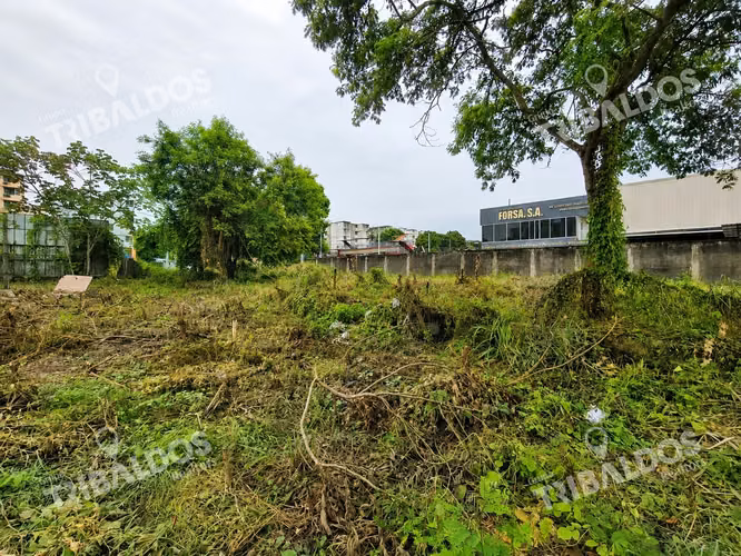 Venta de Terreno Comercial en Ave. Jose Agustin Arango - Imagen 14