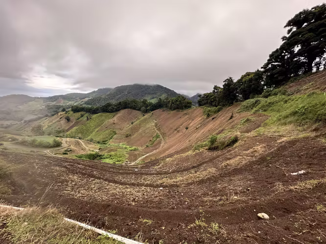 SE VENDEN FINCAS DE PRODUCCIÓN EN CERRO PUNTA