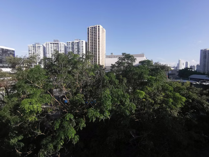 Venta de Apartamento en Paitilla MPS26*5511