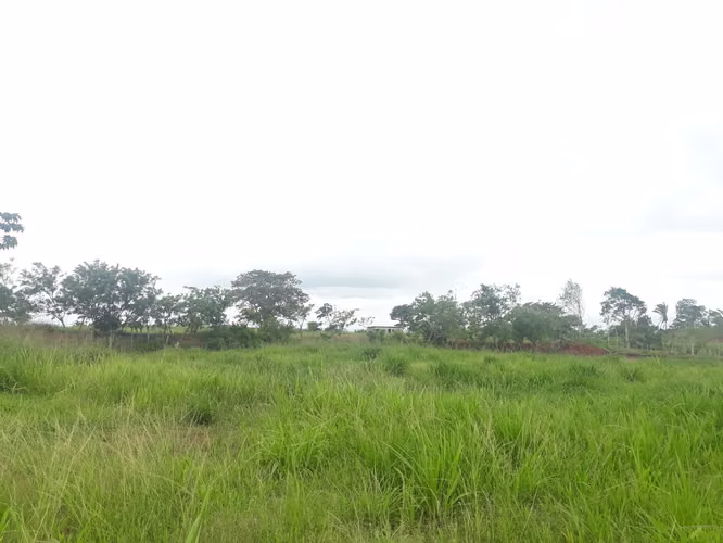 Terreno con galera en venta Via La Arenosa Chorrera