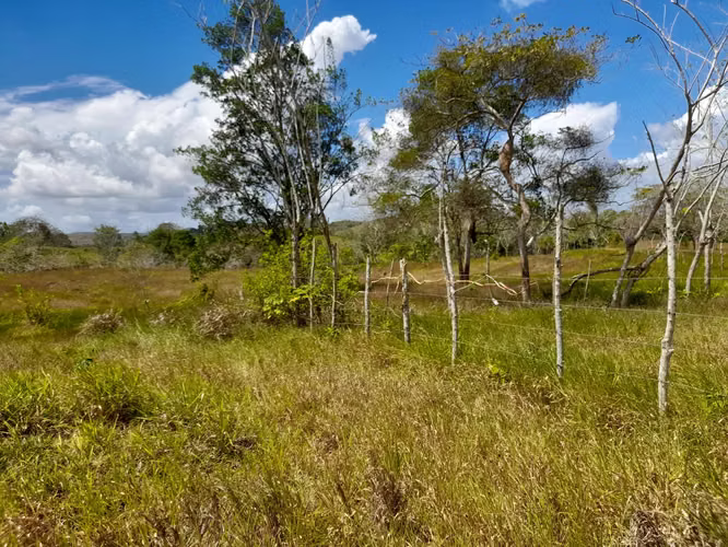 Terreno con galera en venta Via La Arenosa Chorrera