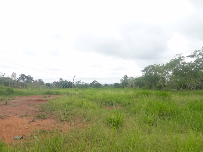 Terreno con galera en venta Via La Arenosa Chorrera