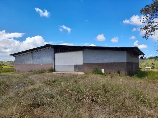 Terreno con galera en venta Via La Arenosa Chorrera
