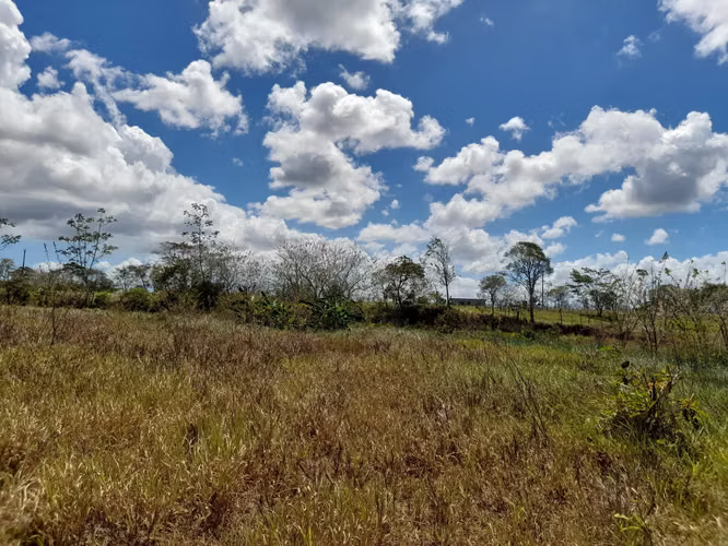 Terreno con galera en venta Via La Arenosa Chorrera