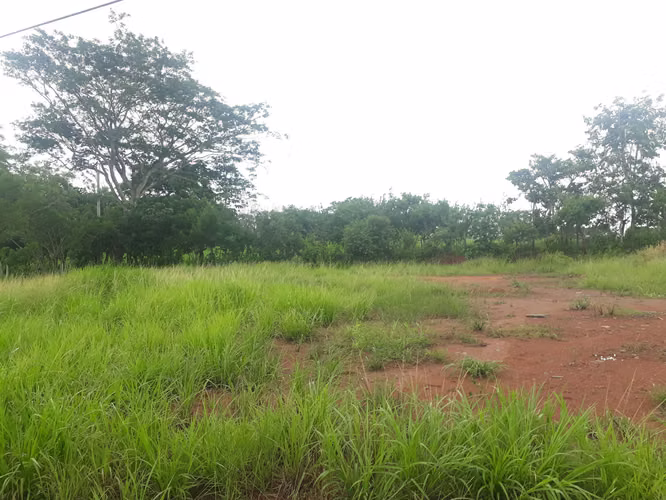 Terreno con galera en venta Via La Arenosa Chorrera