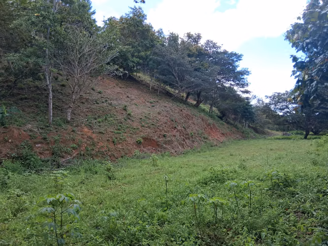 SE VENDE TERRENO EN LA LAGUNA DE SAN CARLOS