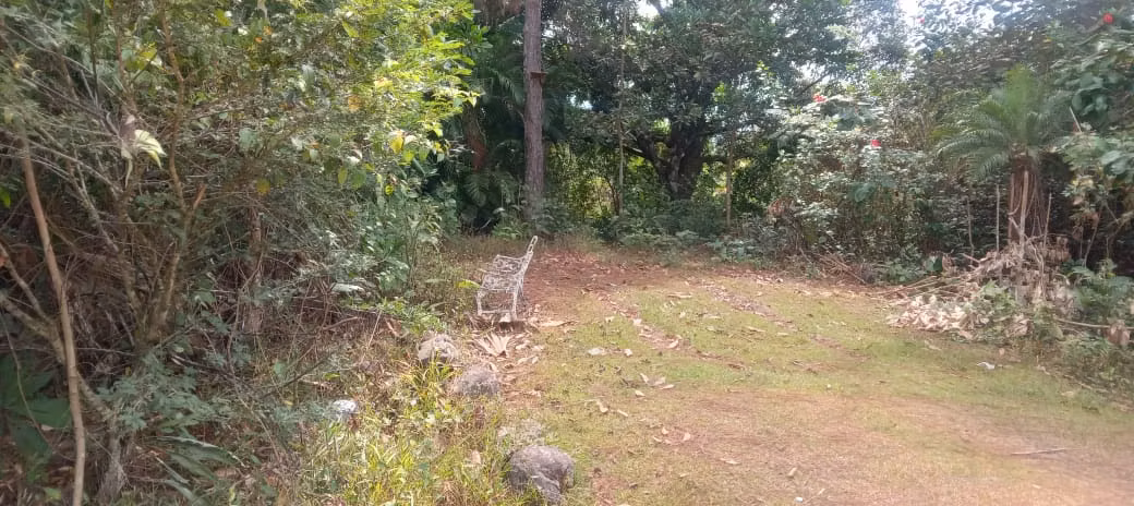 SE VENDE FINCA EN TOABRÉ (PENONOMÉ)