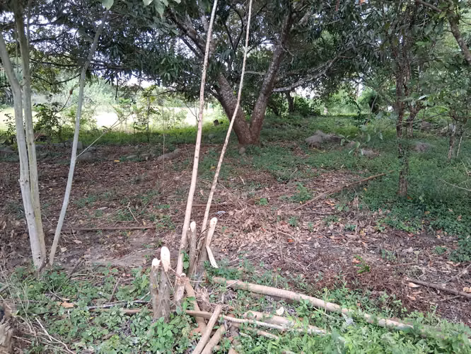 SE VENDE TERRENO EN CHUPAMPA (OCÚ)