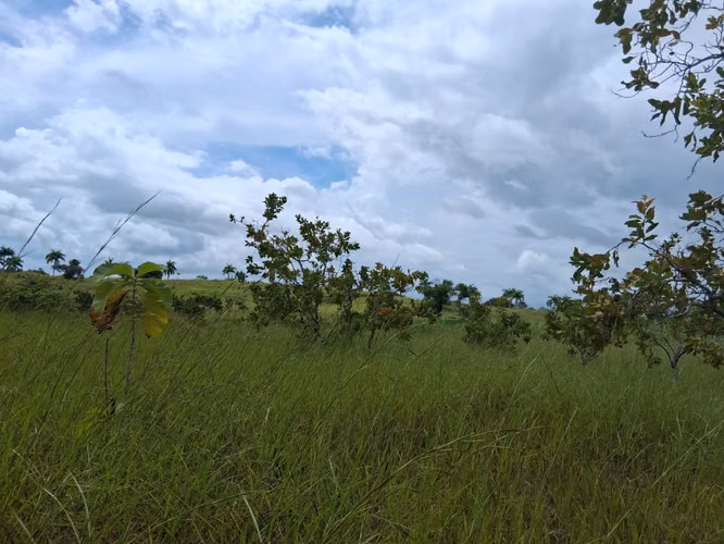 SE VENDE FINCA AGROPECUARIA CON CASA.