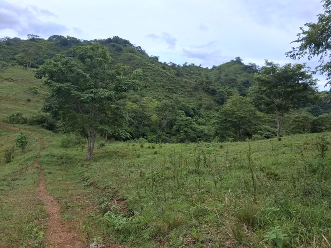 SE VENDE FINCA GANADERA