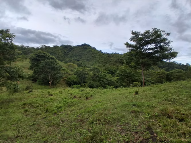 SE VENDE FINCA GANADERA