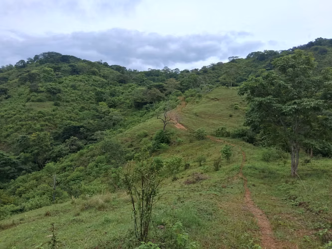 SE VENDE FINCA GANADERA