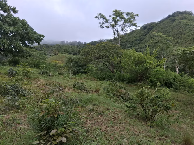 SE VENDE FINCA GANADERA