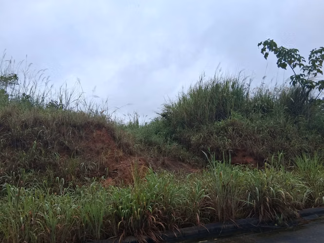 SE VENDE FINCA EN GREEN VALLEY - Imagen 4
