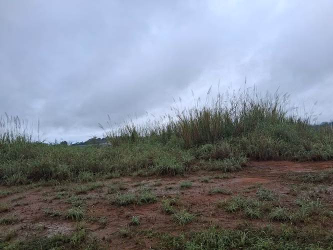 SE VENDE FINCA EN GREEN VALLEY - Imagen 5