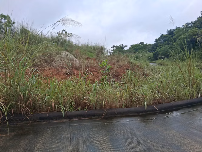 SE VENDE FINCA EN GREEN VALLEY