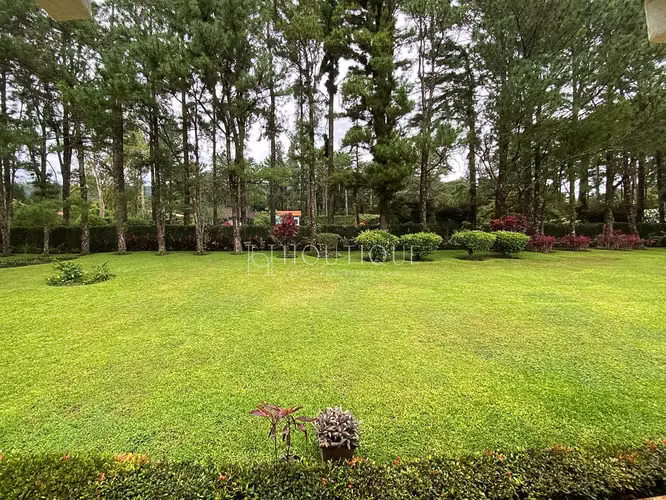Exclusiva Residencia con Cabaña de Invitados – El Valle de Antón